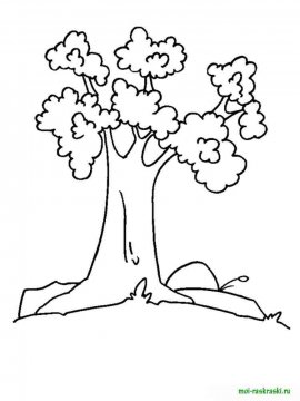 Раскраска Дерево 12 - Бесплатно распечатать