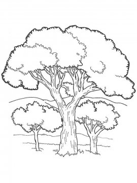 Раскраска Дерево 13 - Бесплатно распечатать