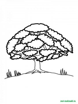 Раскраска Дерево 15 - Бесплатно распечатать