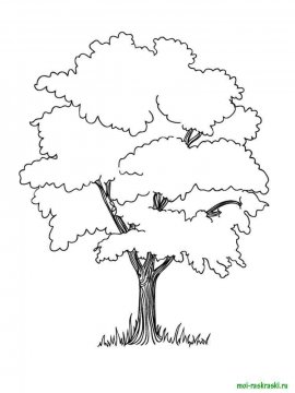 Раскраска Дерево 18 - Бесплатно распечатать