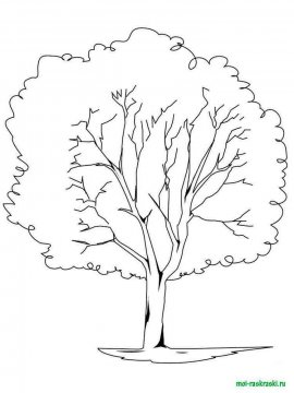 Раскраска Дерево 19 - Бесплатно распечатать