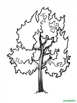 Раскраска Дерево 5 - Бесплатно распечатать