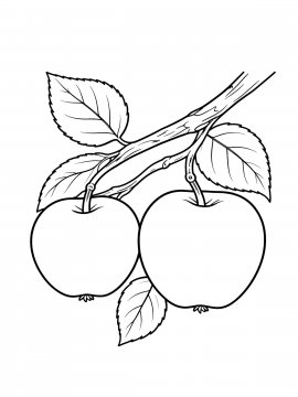 Raskraski Dlya Detei 4let 53