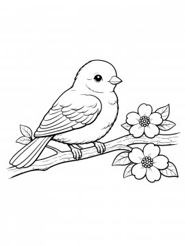 Раскраска Птичка на ветке