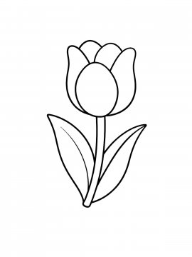 Раскраска Тюльпан