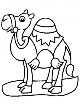 Раскраска Верблюд для девочек