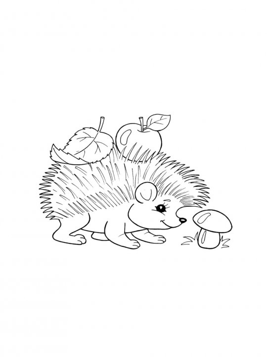 Рисунок ежик чб