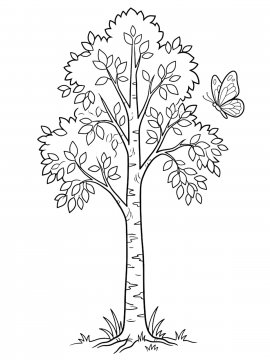 Раскраска Береза и бабочка