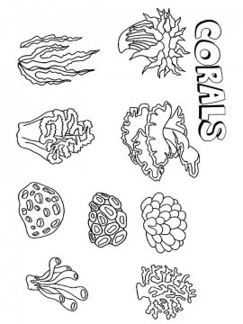 Раскраска Кораллы 6 - Бесплатно распечатать