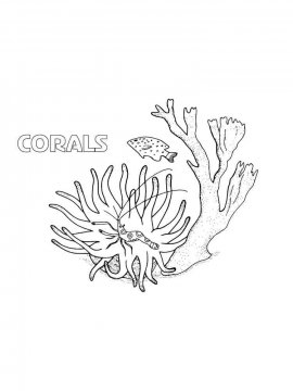 Раскраска Кораллы 8 - Бесплатно распечатать