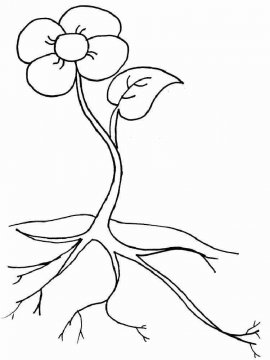 Раскраска Растения 12 - Бесплатно распечатать