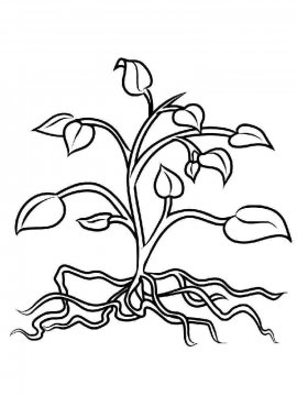 Раскраска Растения 19 - Бесплатно распечатать