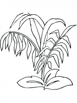 Раскраска Растения 8 - Бесплатно распечатать