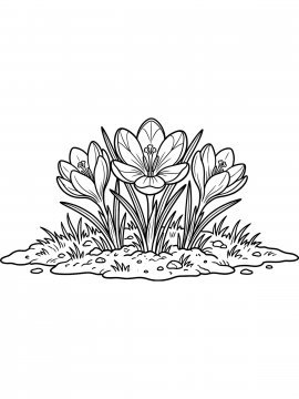 Раскраска Распустившиеся подснежники