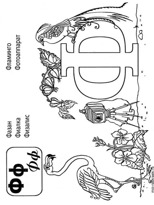 Рисунки на букву ф